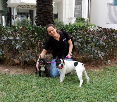 Moving pets to Panama