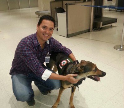 Panama Pet Relocation