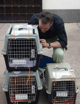 Panama Pet Relocation