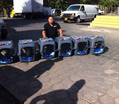 Pet Relocation in Nicaragua
