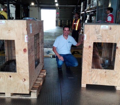 Panama Pet Relocation