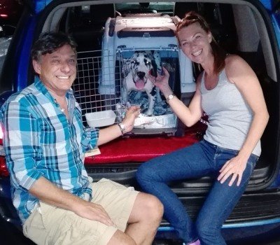 Panama Pet Relocation