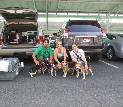 Panama dog home quarantine