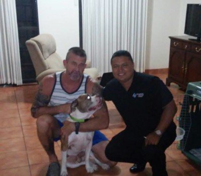 Panama Pet Relocation