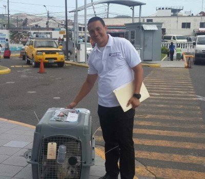 Pet Relocation in Honduras