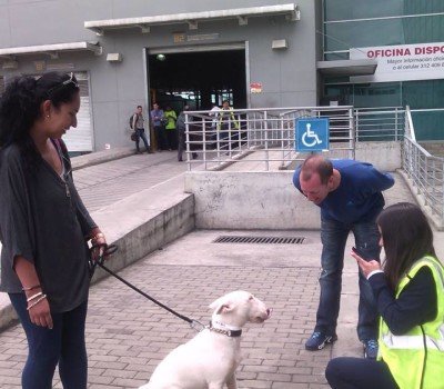 Pet Relocation in Colombia