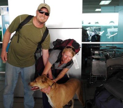 Panama Pet Relocation