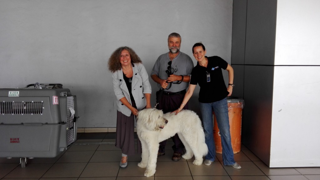 Panama pet home quarantine Panama Pet Relocation