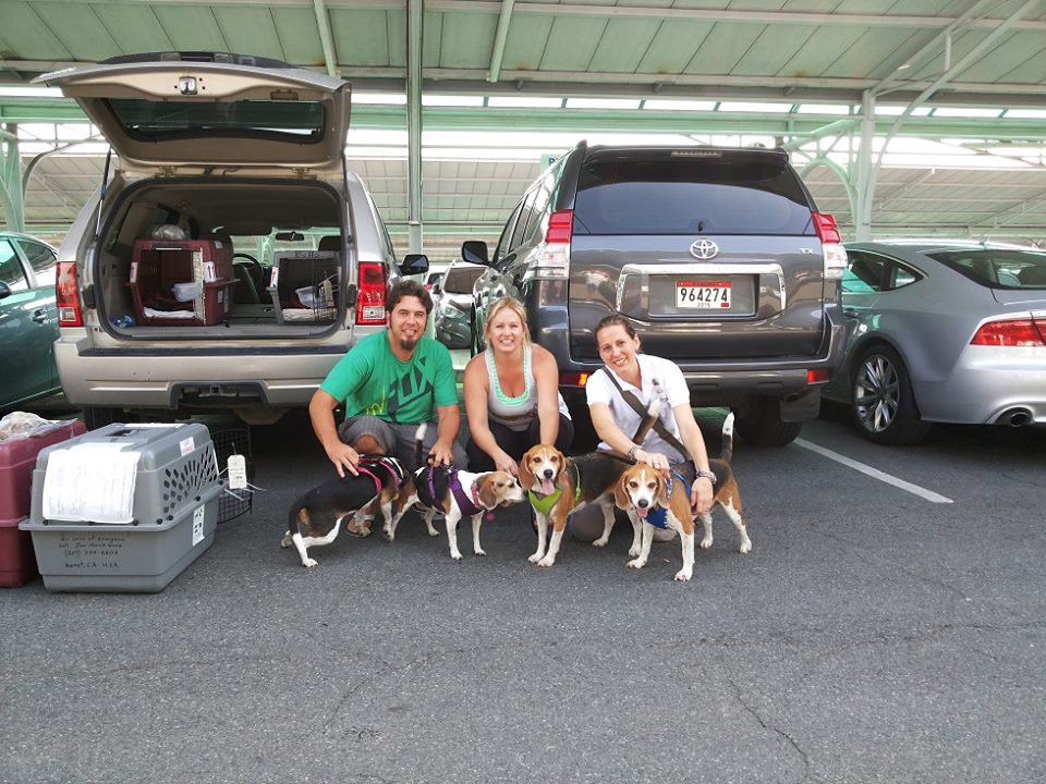 Panama dog home quarantine Panama Pet Relocation